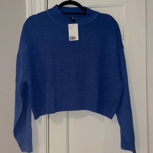 Blue Sweater